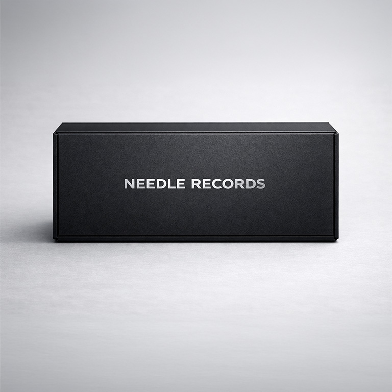 Kit de Limpieza de Vinilos Premium - Imagen 4